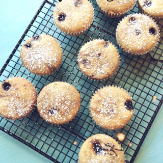 Gluten-free + vegan blueberry muffins