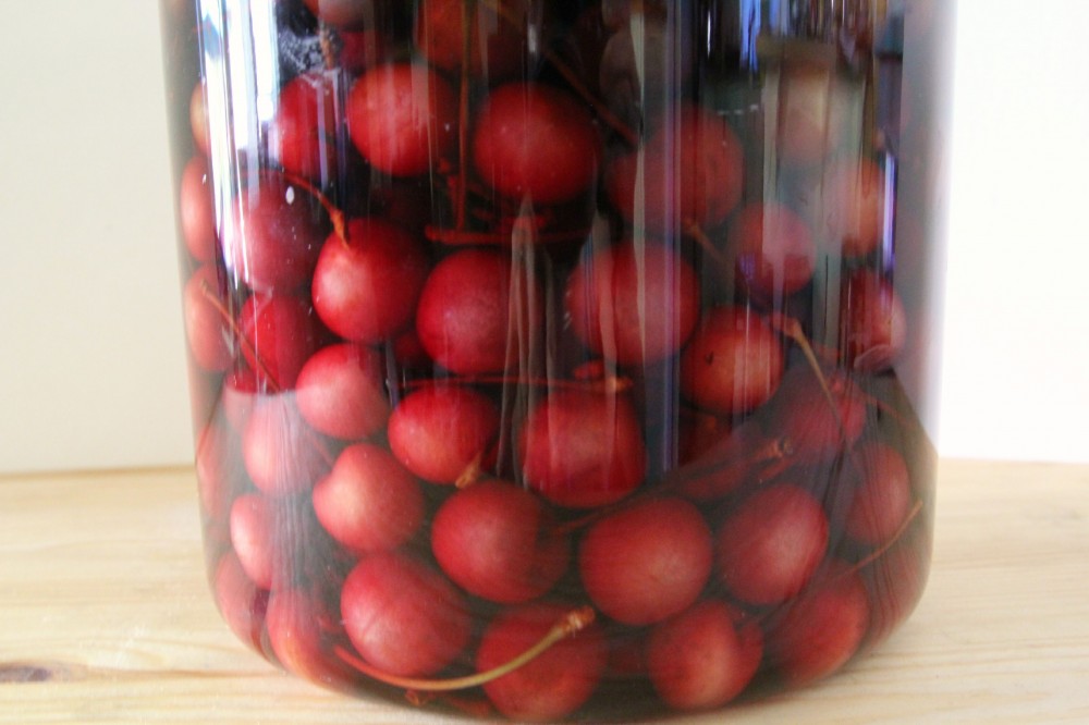 boozy cherries |juliehasson.com